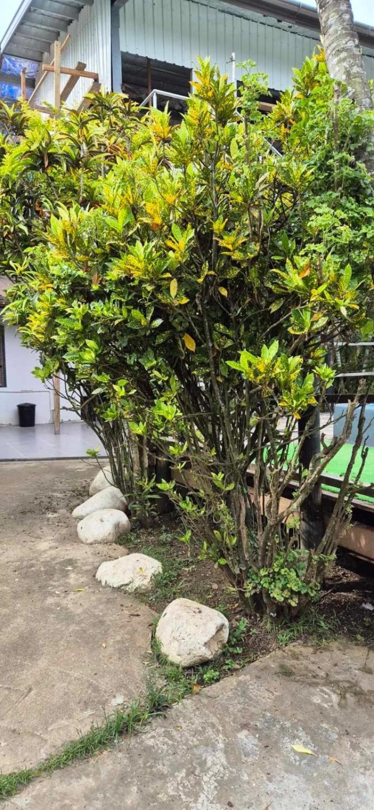 Bluelight Village Hotel Nadi Ngoại thất bức ảnh
